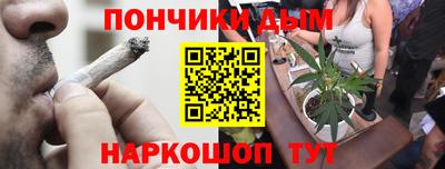 прущие крисы Бердск