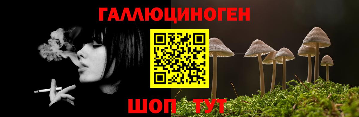 Галлюциногенные грибы MAGIC MUSHROOMS Нижний Тагил